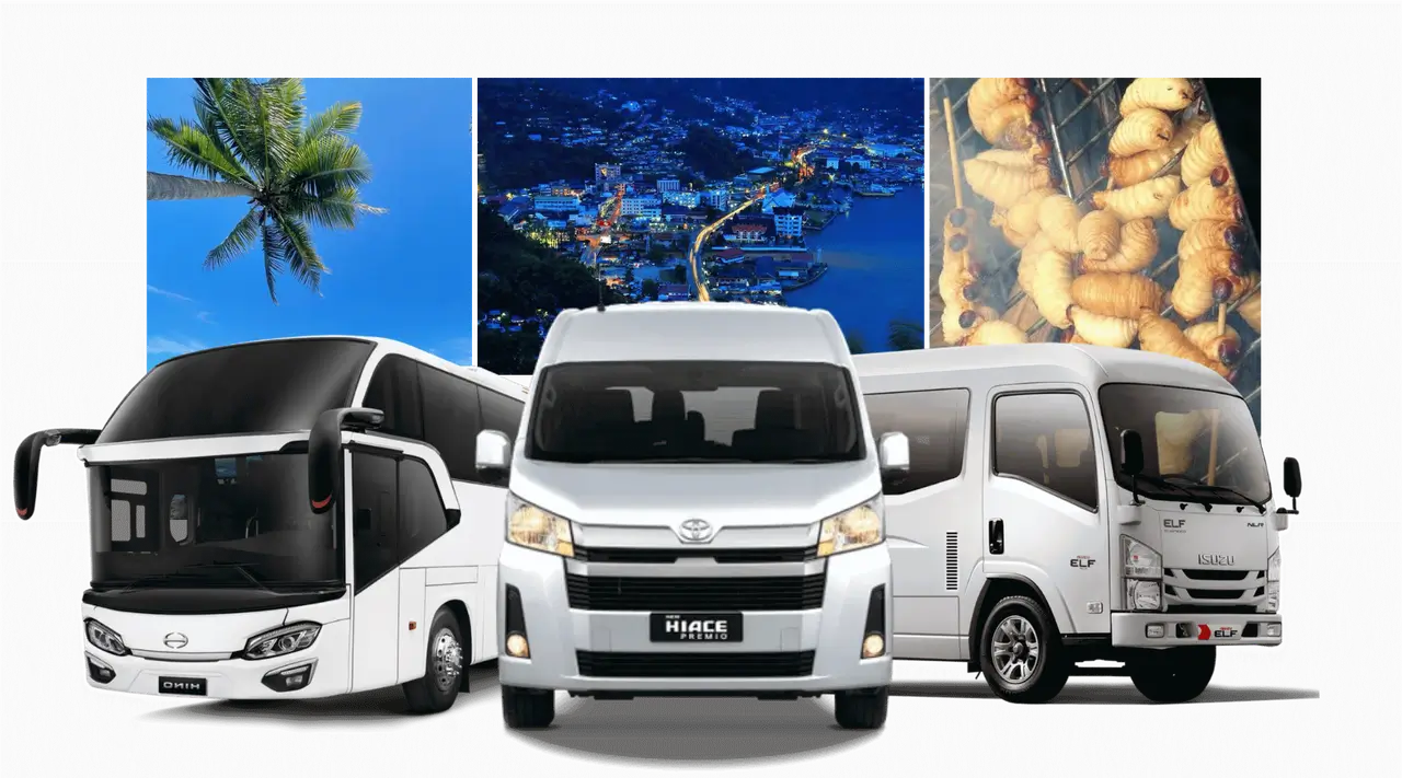 Rental Mobil Ayla Bulanan Tabanan